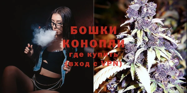 ешки Гусев