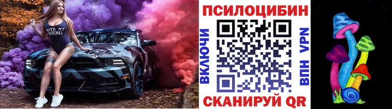 Купить закладки  Онега  Галлюциногенные грибы Cubensis 