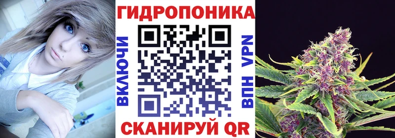 Каннабис план  Купить где  Онега 